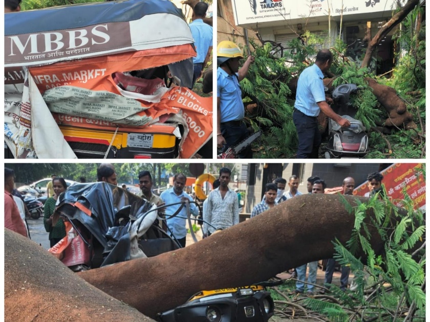 A tree fell on a rickshaw running on the road in Pune, three injured | Pune News: पुण्यात रस्त्यावरून चाललेल्या रिक्षावरच कोसळले झाड, तिघे जखमी