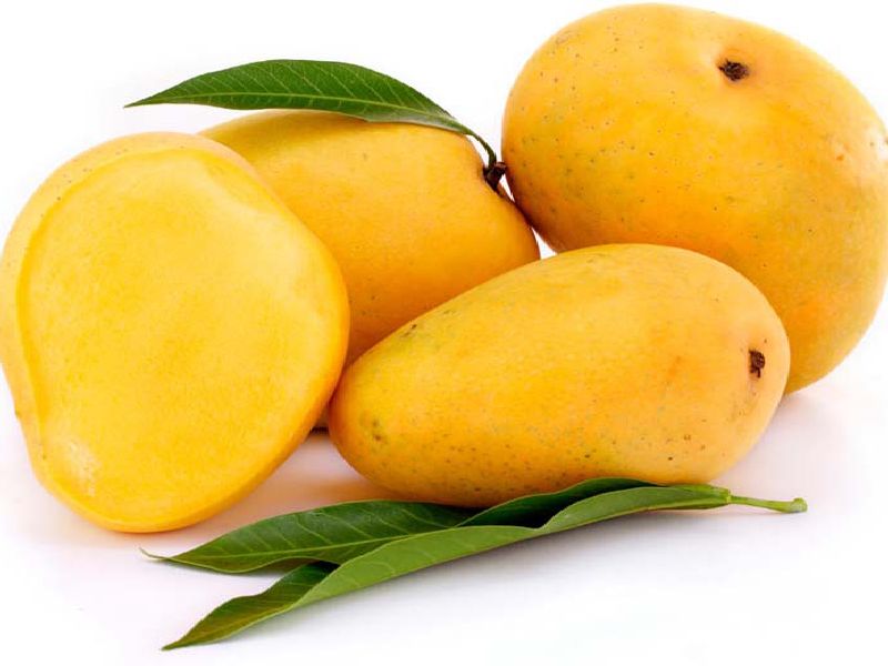 5 amazing benefits of mangoes to glow your face | चेह-याचे सौंदर्य खुलवण्यासाठी आंब्याचे हे 6 फायदे माहीत आहे?
