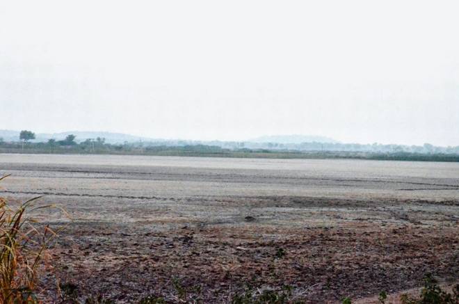 Nine projects in Risod taluka drying up: Fodder and water shortage severe | रिसोड तालुक्यात नऊ प्रकल्प कोरडेठण्ण : चारा व पाणीटंचाई गंभीर 