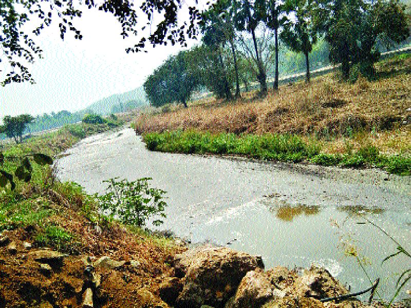 Vaishakarta's Kalba river rises with constant pollution | वसईकरांची कालोबा नदी सततच्या प्रदूषणाने गुदमरली