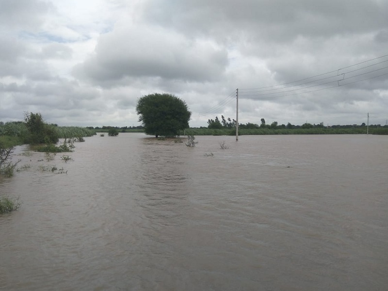 Kayadhu River floods: A farmer was missing at Hadgav; Five villages lost contact | कयाधू नदीला पूर : हदगावात एक शेतकरी वाहून गेला; पाच गावांचा संपर्क तुटला