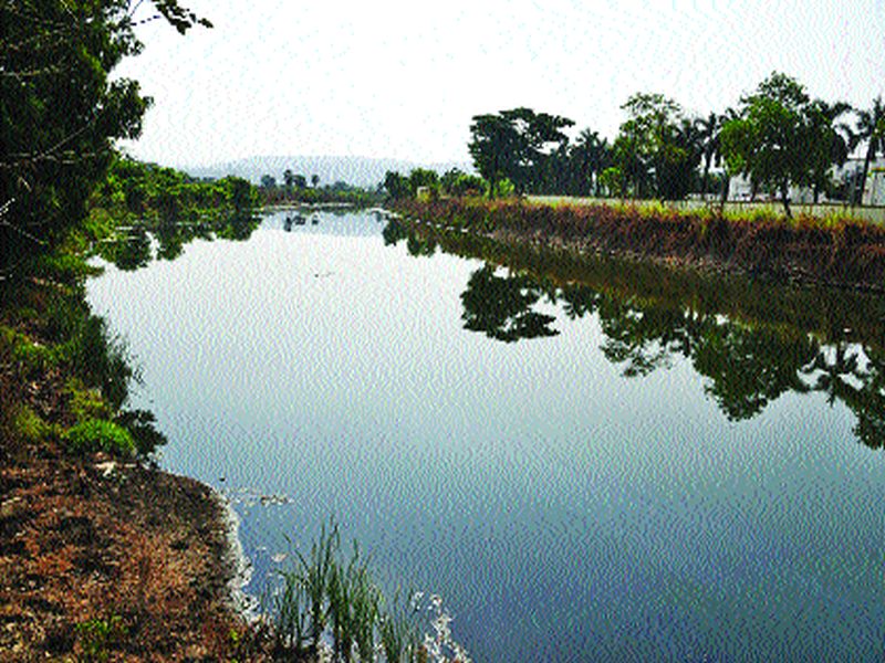  Lockdown cleans rivers in Panvel; Life saving for aquatic animals | लॉकडाउनमुळे पनवेलमधील नद्या झाल्या स्वच्छ; जलचर प्राण्यांना जीवदान