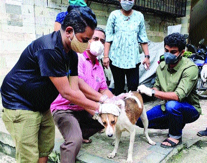 Free vaccination of 60,000 stray, pet dogs in 20 years | वीस वर्षांत ६० हजार भटक्या, पाळीव कुत्र्यांचे मोफत केले लसीकरण