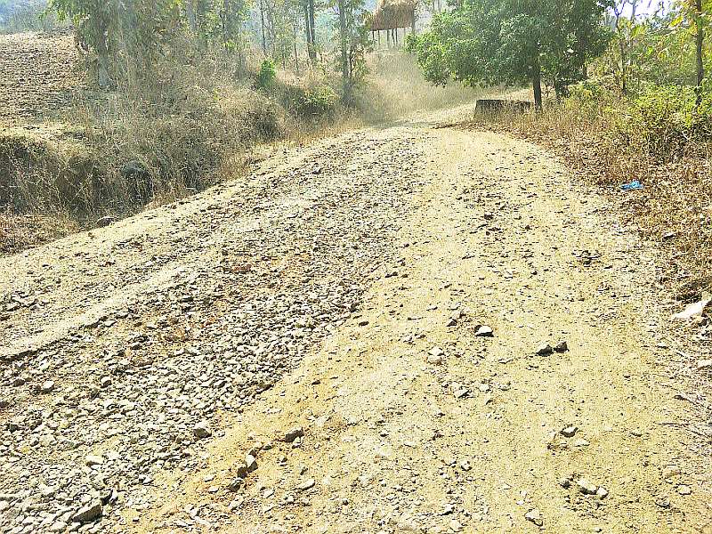 The plight of roads in the tribal areas | आदिवासी भागातील रस्त्यांची दुर्दशा