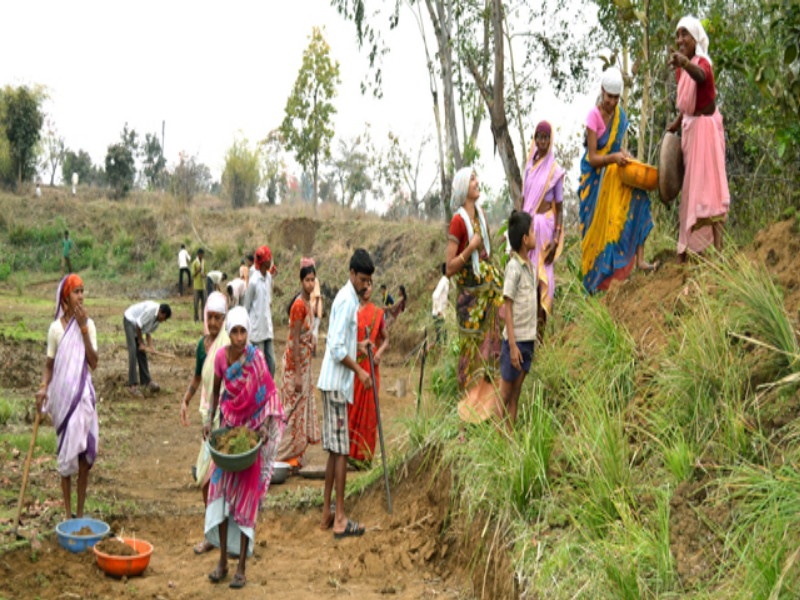 Only 67 thousand laborers in the state on rojgar hami yojna at drought conditions | दुष्काळजन्य परिस्थितीतही रोजगार हमीच्या कामावर राज्यात फक्त ६७ हजार मजूर