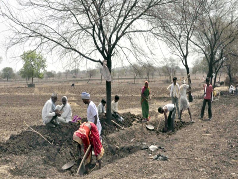 Only 2,000 laborers work in Parbhani | परभणीत केवळ २ हजार मजुरांच्याच हाताला काम