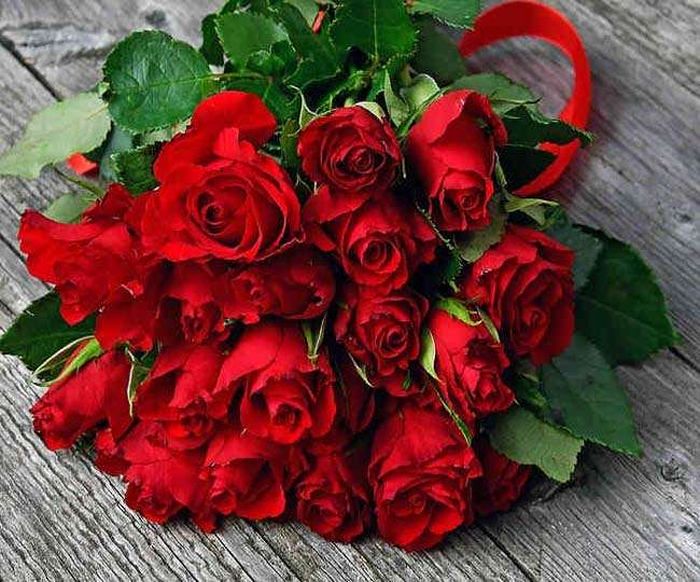 The fragrance of love spread from 'Rose' in Nagpur | नागपुरात 'रोझ' मधून पसरणार प्रेमाचा सुगंध