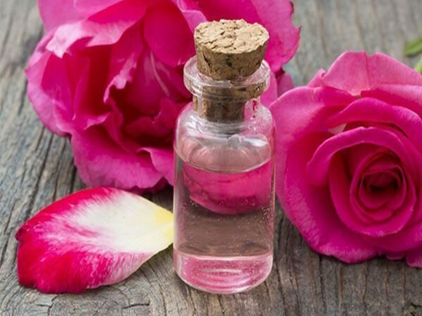 Summer homemade face pack with rose water | गुलाबपाणी वापरून तयार करा फेसपॅक; फ्रेश लूक मिळवण्यासाठी होईल मदत!