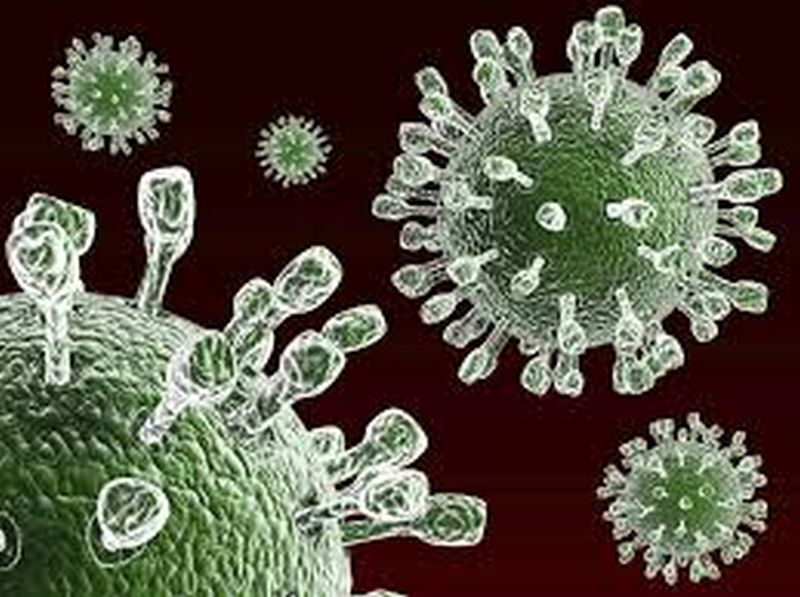 Rota Virus risk to children! | बालकांना ‘रोटा व्हायरस’चा धोका!