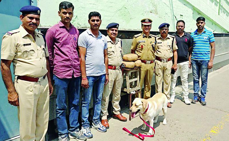 Rs.60,000 ganja seized in AP Express in Nagpur | नागपुरात एपी एक्स्प्रेसमध्ये ६० हजारांचा गांजा जप्त