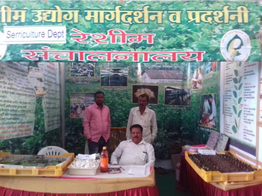 Khamgaon Krishi Mahotsav: Silk stall | #खामगाव कृषि महोत्सव : रेशीम संचालनालयाने दिला शेतीला उत्तम जोडधंदा