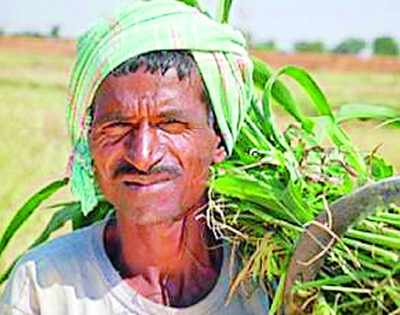 Remove obstacles in 'PM Kisan' | ‘पीएम किसान’मधील अडसर दूर