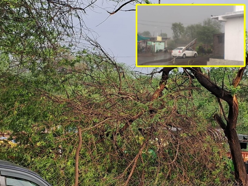unseasonal presence in akola district damage to sorghum crop mango banana and lemon trees to force of winds in akola | अकोला जिल्ह्यात अवकाळीची हजेरी; वादळी वाऱ्यामुळे दाणादाण