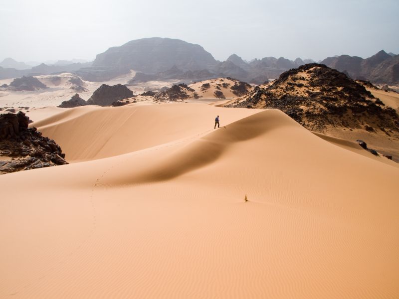 Sahara swung between lush and desert conditions every 20 000 years says MIT study | दर २० हजार वर्षांनी हिरवागार होतं जगातलं सर्वात मोठं सहारा वाळवंट!