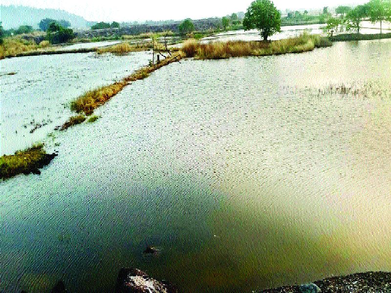 Protected dams break salt water in the soil | संरक्षक बांध फोडून शेतजमिनीत खारे पाणी