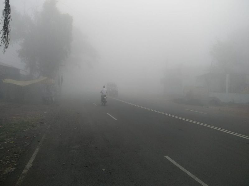 Weather of Sangli : fog in Sangli | सांगलीवर दाट धुक्याची चादर