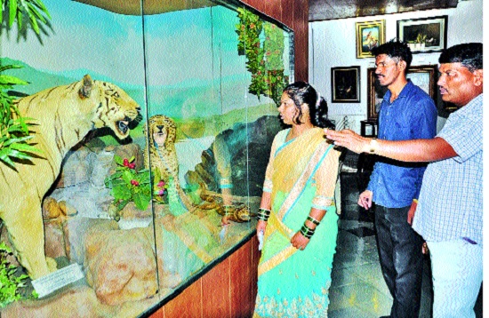  Massive Museum Wanted: Wide collection of Sangli collection attracts tourists | वस्तुसंग्रहालयाला हवी प्रशस्त वास्तू : सांगलीचा संग्रह पर्यटकांसाठी ठरेल आकर्षण