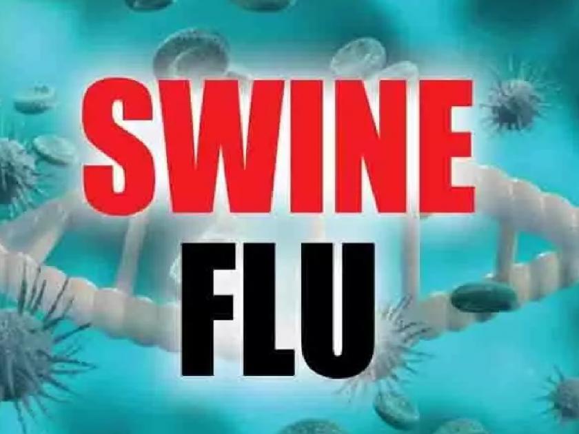 Increase in swine flu patients in Sangli district, three death | Swine flu: सांगली जिल्ह्यात स्वाईन फ्ल्यूच्या रुग्णांत वाढ, आतापर्यंत तिघांचा मृत्यू