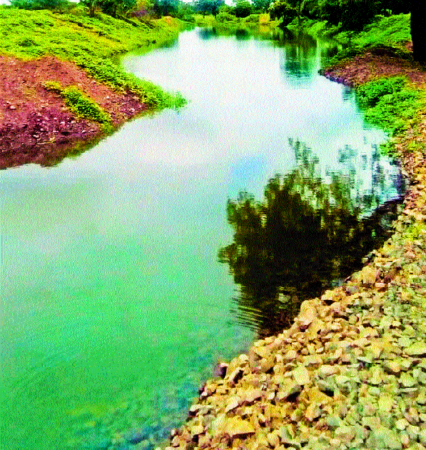 Irrigation for 100 percent drizzling of Punadi! | पुणदीची वाटचाल शंभर टक्के ठिबक सिंचनाकडे!