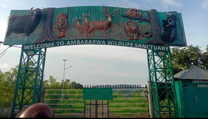 Jungle Safari in Ambabarwa Sanctuary closed from July 1 | अंबाबरवा अभयारण्यात १ जूलैपासून जंगल सफारी बंद