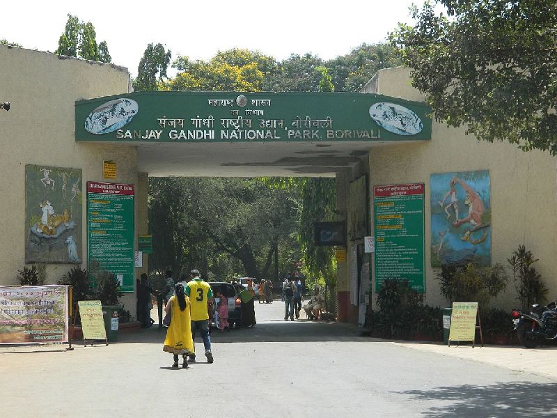 Open Sanjay Gandhi National Park, demand of citizens | संजय गांधी राष्ट्रीय उद्यान खुले करा, नागरिकांची मागणी