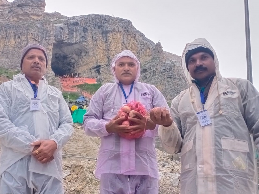 The farmer offered the onion of Nashik at the feet of Baba Amarnath | नाशिकचा कांदा शेतकऱ्याने वाहिला बाबा अमरनाथ चरणी
