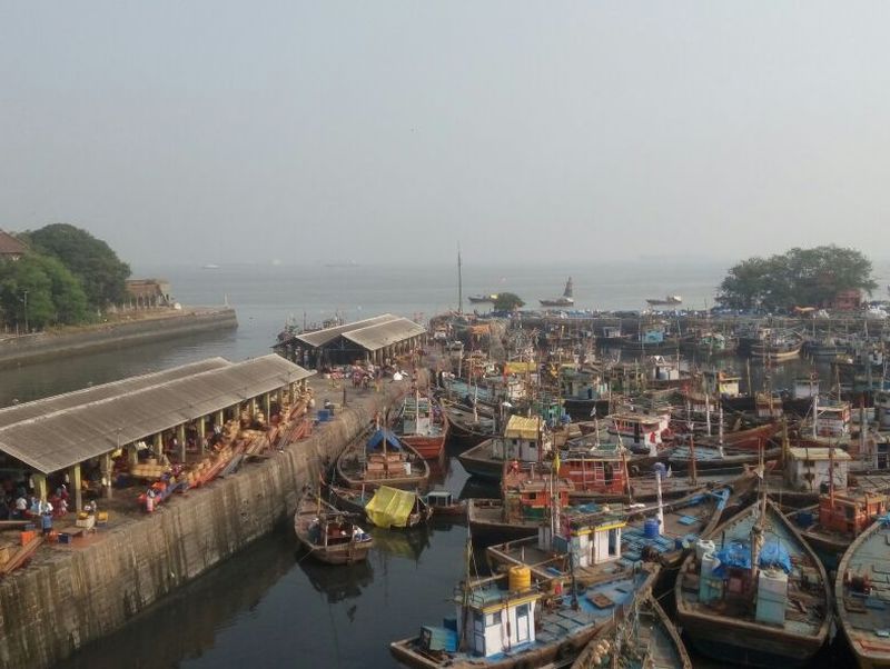Sasoon Dock will be renovated under Sagarmala project | सागरमाला प्रकल्पाच्या अंतर्गत ससून डॉकचा होणार कायापालट - संजय भाटीया 
