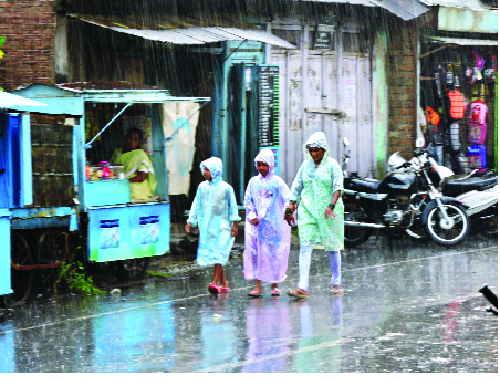 Rain accompanied with thundershowers in Satara | साताऱ्यात मेघगर्जनेसह पावसाची हजेरी