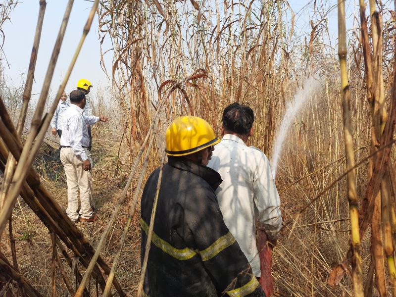 forest burns in Rathi Farm House; Fire control with the help of four watertank | राठी फार्म हाऊसमधील 'रान' पेटले; चार बंबांच्या सहाय्याने आगीवर नियंत्रण