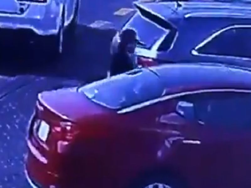 First lady car thief found in Saudi Arebia ... | सौदीमध्ये दिसली पहिला महिला कार चोर...