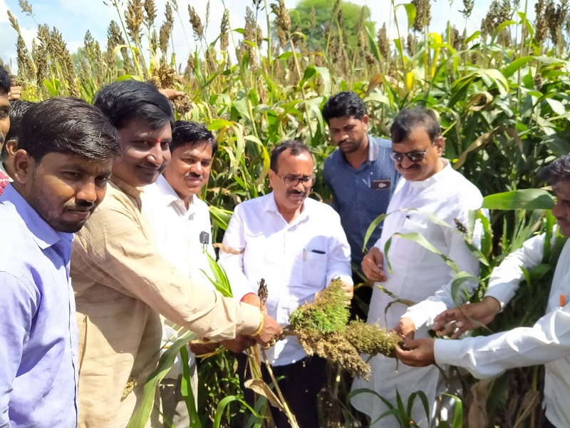 Guardian Minister Atul Save inspects the crop damage in Sengaon taluka | सेनगाव तालुक्यातील पिक नुकसानीची पालकमंत्र्यांकडून पाहणी