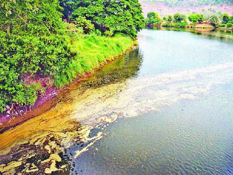 Chevity river on the Savitri river; The administration is simply ignorant | सावित्री नदीवर रसायनाचा तवंग, नागरिकांमध्ये भीतीचे वातावरण; प्रशासन मात्र अनभिज्ञ