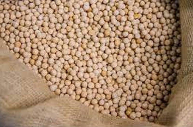 Soybean seeds purchased from Washim farmers in Washim! | वाशिमच्या शेतकऱ्यांकडून अकोल्यातून सोयाबीन बियाणांची खरेदी!