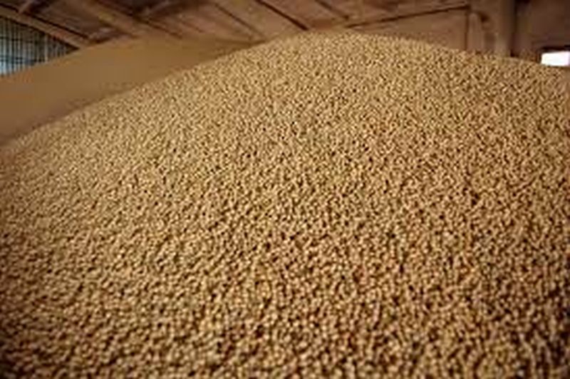 Soybean rate nine thousand per quintal in washim | सोयाबीनला प्रति क्विंटल नऊ हजारावर; पण शेतकऱ्यांना फायदा काय?