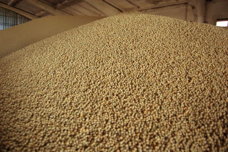 Soybean prices fall by Rs 2,000 in four days | चार दिवसांत सोयाबीन दरात २ हजारांची घसरण