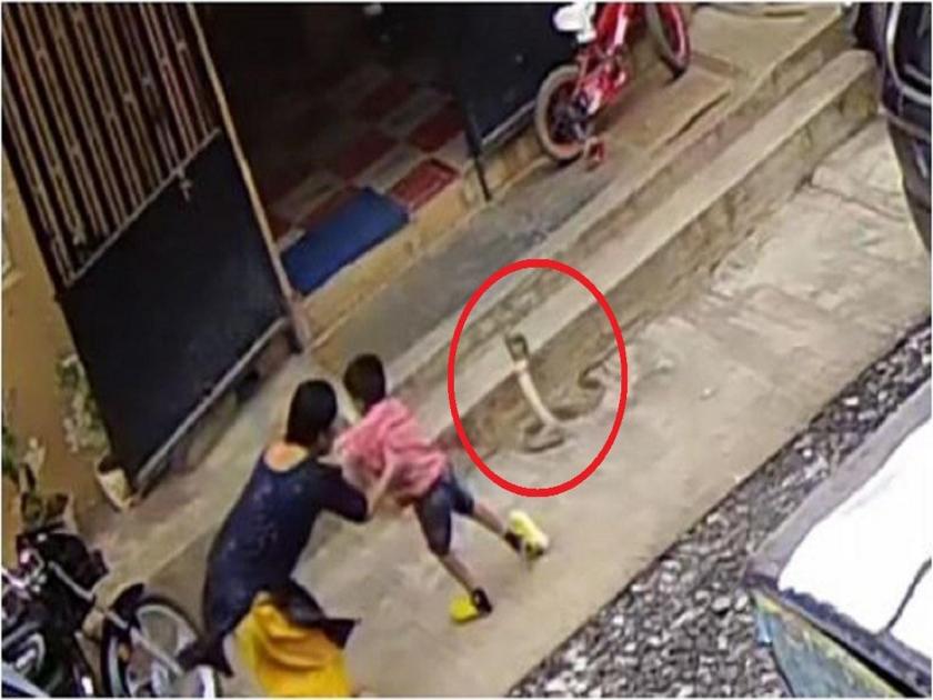 Boy Just escaped from Snake bite in Karnataka, Shocking video | थरारक! मुलासमोर फणा काढून कोब्रा उभा राहिला अन्...; अंगावर शहारे आणणारा Video 
