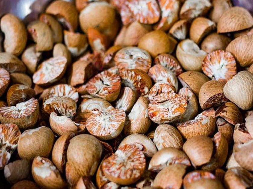 Mumbai, Nagpur betel nut traders in ED net for smuggling poor quality produce | सुपारी व्यापारी अडकित्त्यात; मुंबई, नागपूरमध्ये ईडीच्या १७ ठिकाणी धाडी