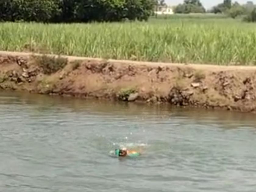 Video : 72-year-old grandmother's swimming very well in neera canal in baramati | Video: ७२ वर्षांच्या आजीचा नातवांच्या हट्टापायी पाण्यात 'अफलातून' सूर;२ वेळा नीरा कालवा लीलयापार