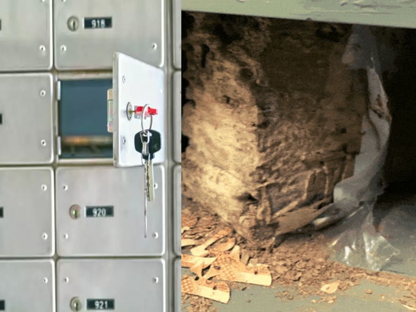A young woman screamed as soon as PNB's locker was opened; The condition of lakhs of rupees is such that it has become soil due to termites | पीएनबीचे लॉकर खोलताच किंचाळली तरुणी; लाखो रुपयांची हालत अशी की, मातीच झाली....