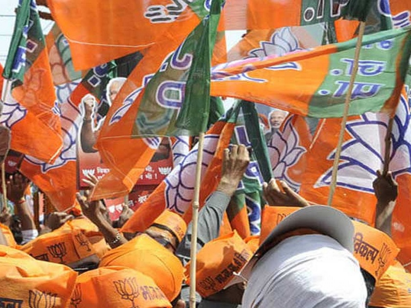 Maharashtra's election results limit BJP's enthusiasm in Goa | महाराष्ट्रातील निवडणूक निकालाने गोव्यातील भाजपच्या उत्साहाला मर्यादा