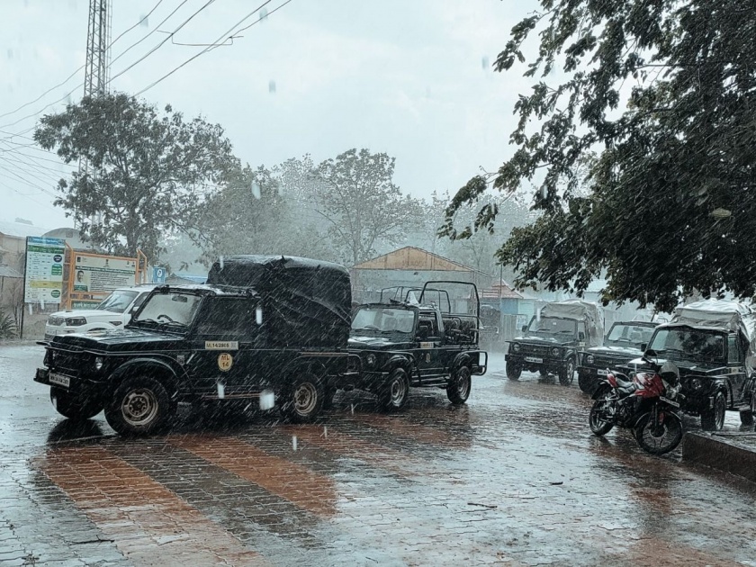 The tourists who came to Tadoba Safari fearing the heat got hit by the rain | उन्हाची भीती बाळगून ताडोबा सफरीला आलेल्या पर्यटकांना बसला पावसाचा तडाखा