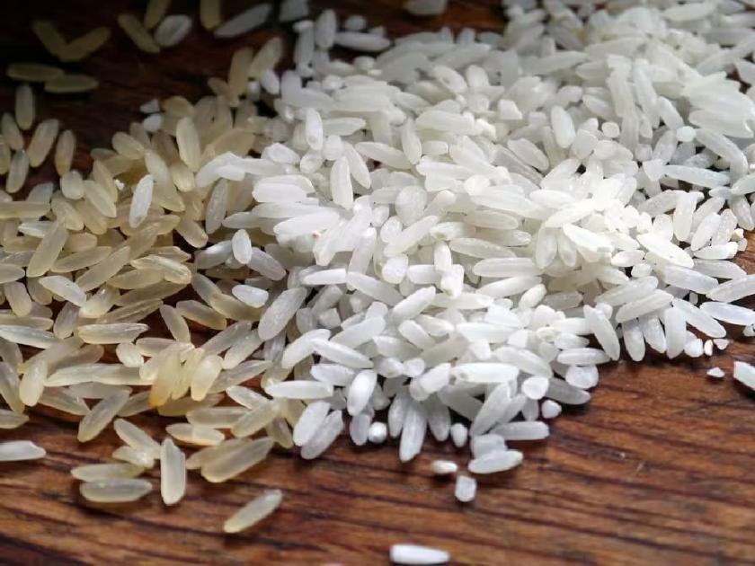 The central team says the rice is inferior, but not taking any action, why? | केंद्रीय पथक म्हणते तांदूळ निकृष्ट, मग कारवाईची 'खिचडी' का शिजेना?