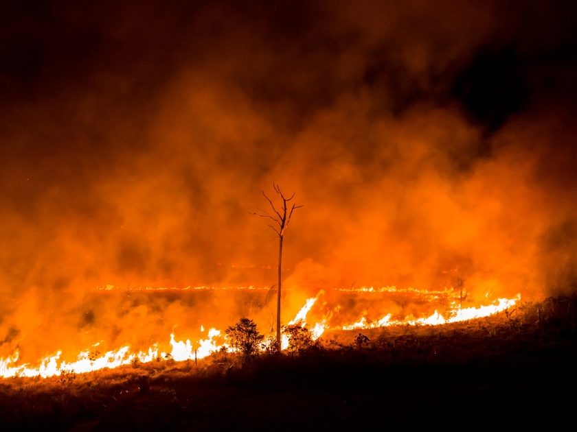 Learn from Amazon Fire | अ‍ॅमेझॉनच्या आगीतून धडा घ्यायला हवा