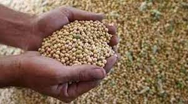 Decrease in seed germination complaints during kharif season | खरीप हंगामात बियाणे न उगवण्याच्या तक्रारीत घट
