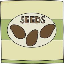 Sources of non-licensed vegetable seeds found | परवाना नसलेल्या कंपन्यांच्या बियाण्याचा साठा आढळला