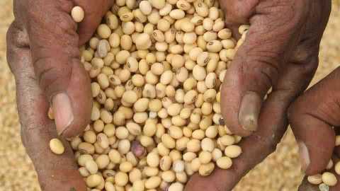 Seeds on subsidy beyond the reach of farmers! | अनुदानावरील बियाणेही शेतकऱ्यांच्या आवाक्याबाहेर!    
