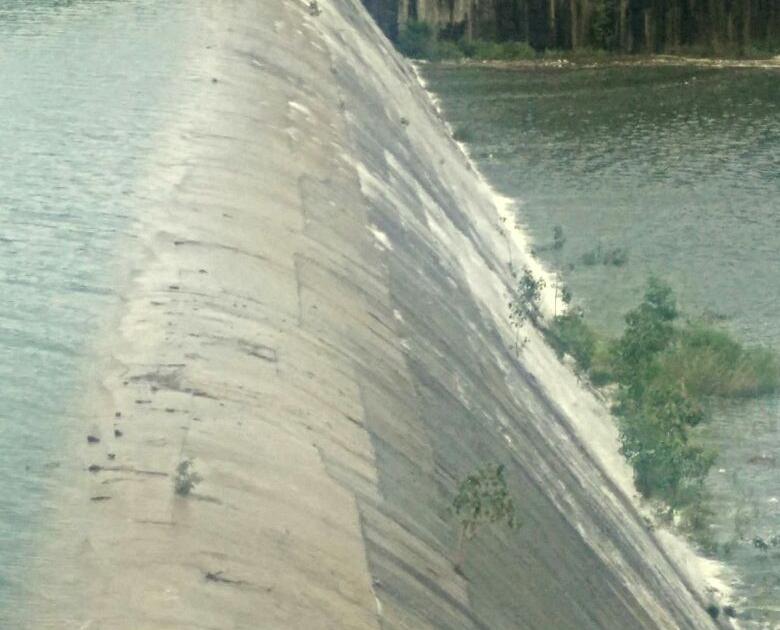 The water level of Sina Dam dropped | सीना धरणाची पाणी पातळी खालावली