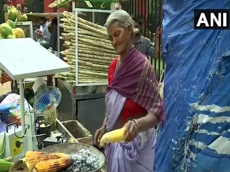 75-year-old street vendor now uses solar power to roast corn in style. Watch viral video | VIDEO: सोशल मीडियावर 75 वर्षीय आजीच्या 'सोलर पॅनल'चीच चर्चा  