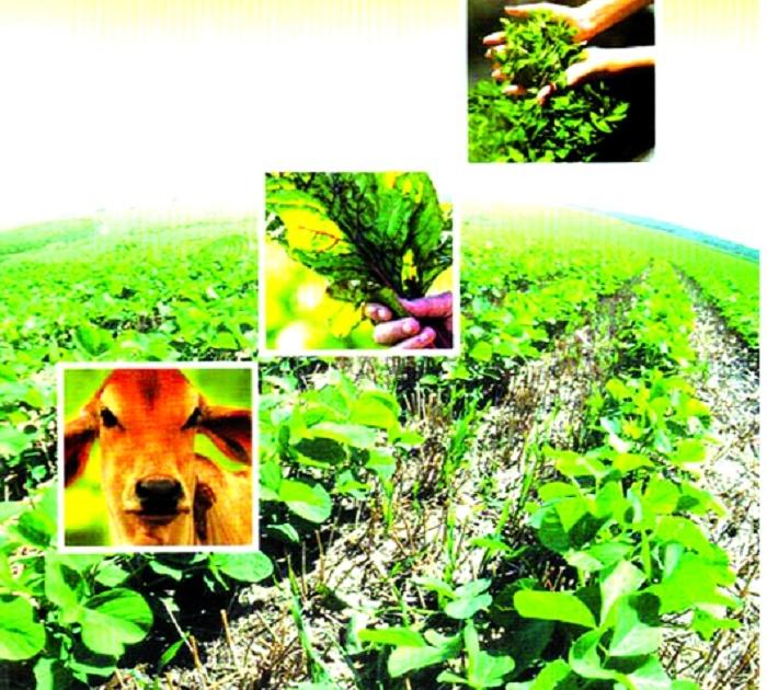  Organic farming will be promoted | सेंद्रिय शेतीला मिळणार चालना