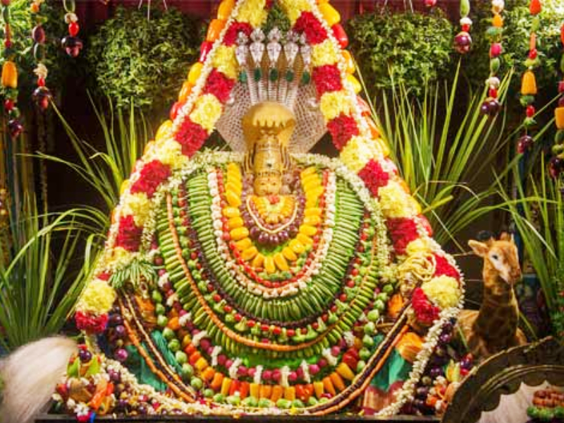 Navratri ends tomorrow; At that time say 'This' Aarti of Goddess! | उद्या शाकंभरी नवरात्रीची समाप्ती; त्यावेळी म्हणा देवीची 'ही' आरती!